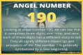 
ANGEL NUMBER 190
