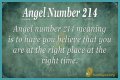 
ANGEL NUMBER 214

