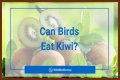 Can Birds Eat Herbs? - Kylon Powell