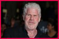 
How Much Money Does Ron Perlman Make? Latest Income Salary
