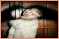 Q&A Session: Pixie Lott - CelebMix