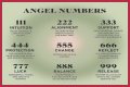
Repeating Angel Numbers - 3's and 6's  (3366, 3636, 6633, 6363 etc)
