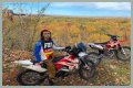Who is Miles Pfeffer? And Know Some Facts About Miles Pfeffer!!!